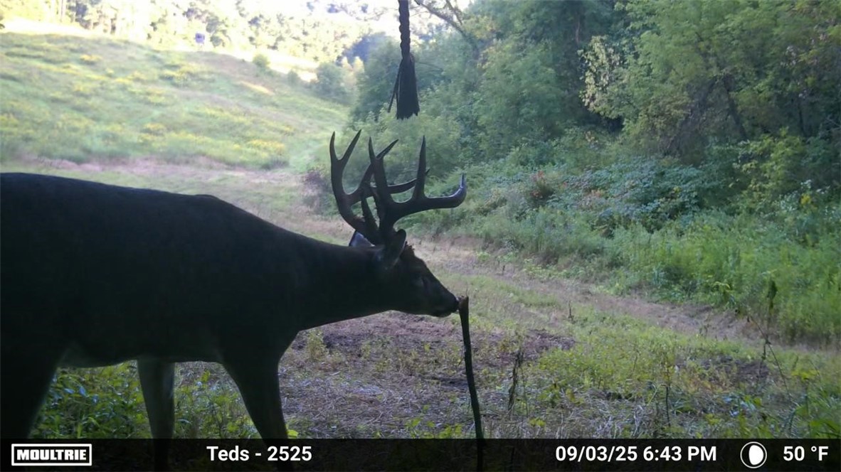 N45211 Franson Road Strum, WI 54770 - Photo 1 of 1 Gallery Image 1