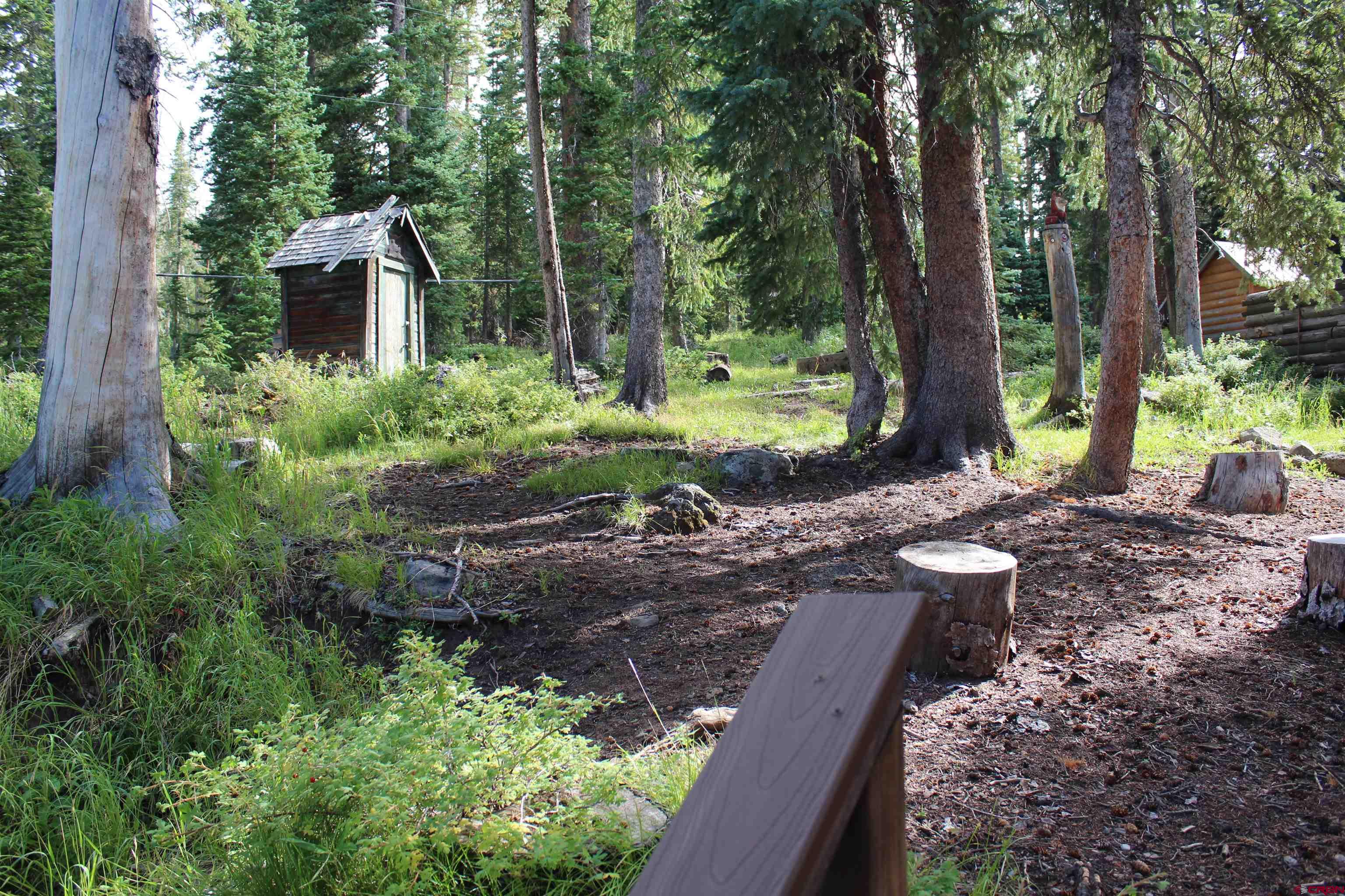 21629 Baron Lake Drive Cedaredge, CO 81413 - Photo 20 of 34 a view of a garden with a tree