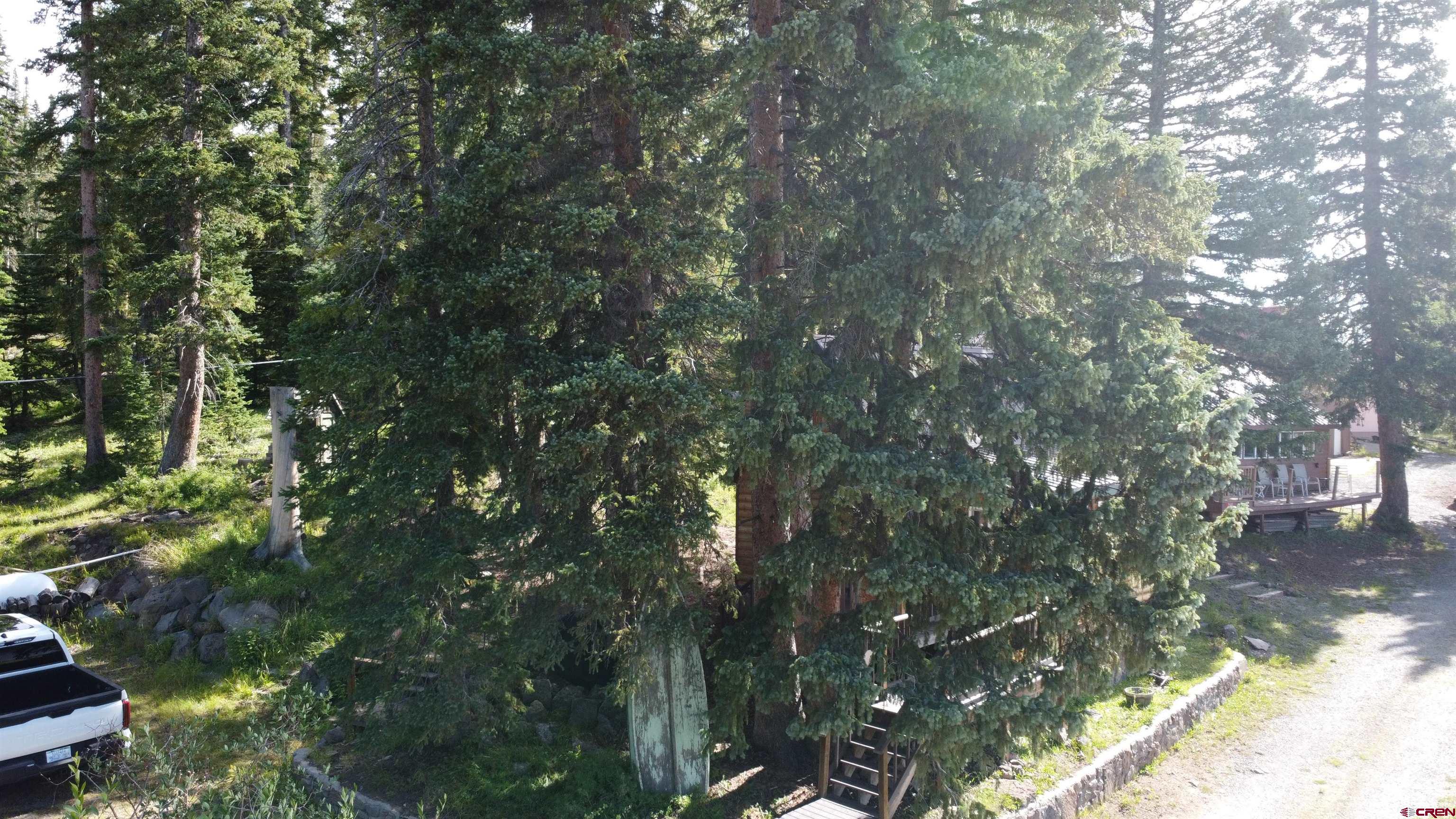 21629 Baron Lake Drive Cedaredge, CO 81413 - Photo 7 of 34 a view of tree