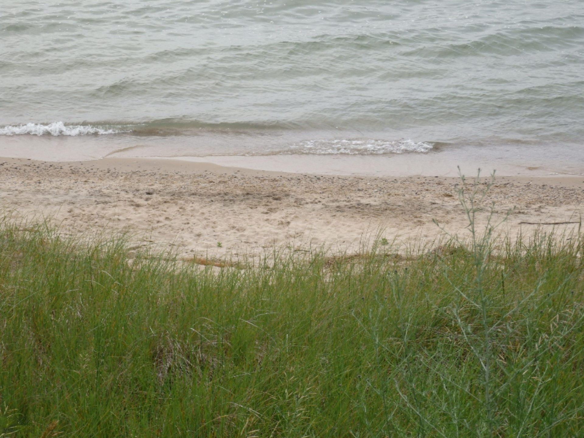 3405 Lakeshore Road Manistee, MI 49660 - Photo 40 of 49 Lake MI beach