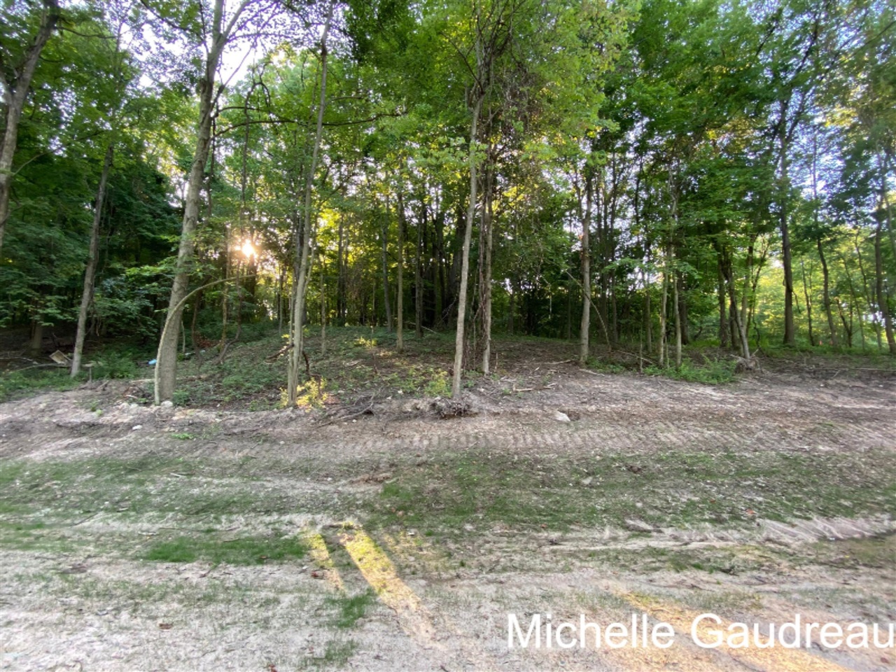 North N Ridge, Unit PARCEL 6 Middleville, MI 49333 - Photo 2 of 5