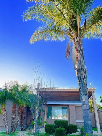 a front view of a house with garden