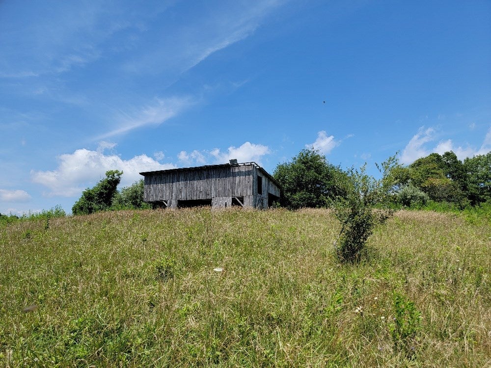 Tbd County Line Road Mouth Of Wilson, VA 24363 - Photo 7 of 9 Gallery Image 7
