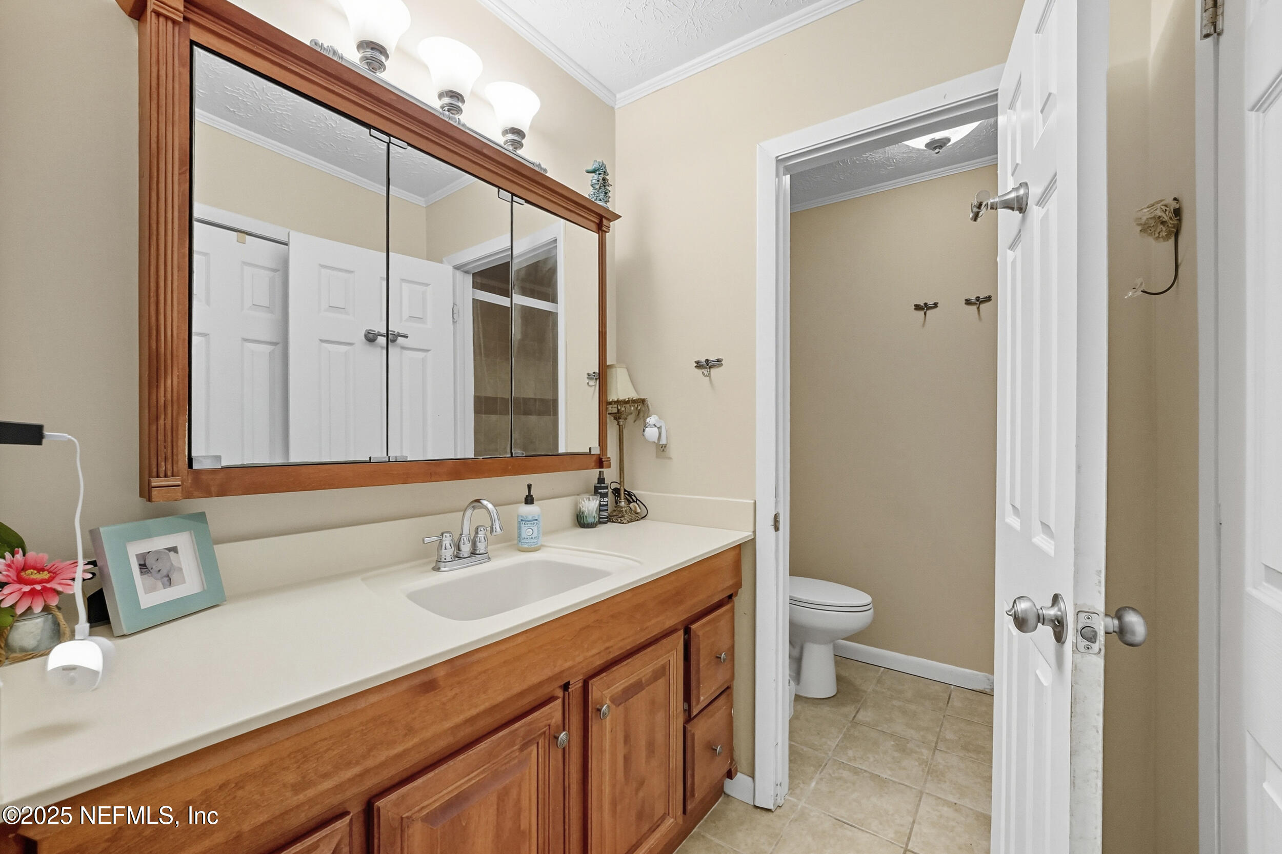 5396 Golf Course Drive Jacksonville, FL 32277 - Photo 31 of 62 a bathroom with a sink a toilet and a mirror