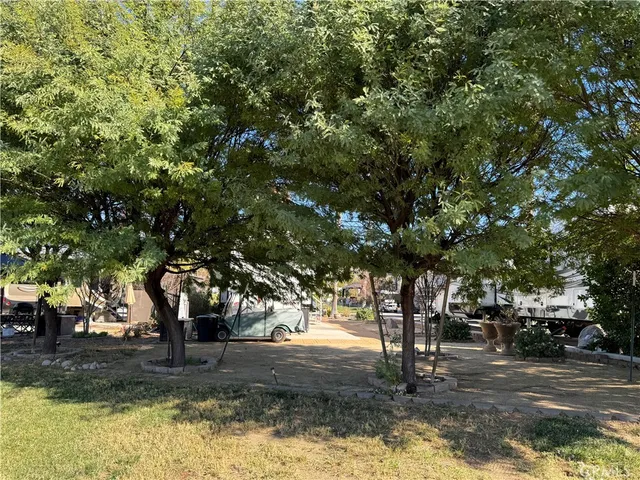 a view of a yard with a tree