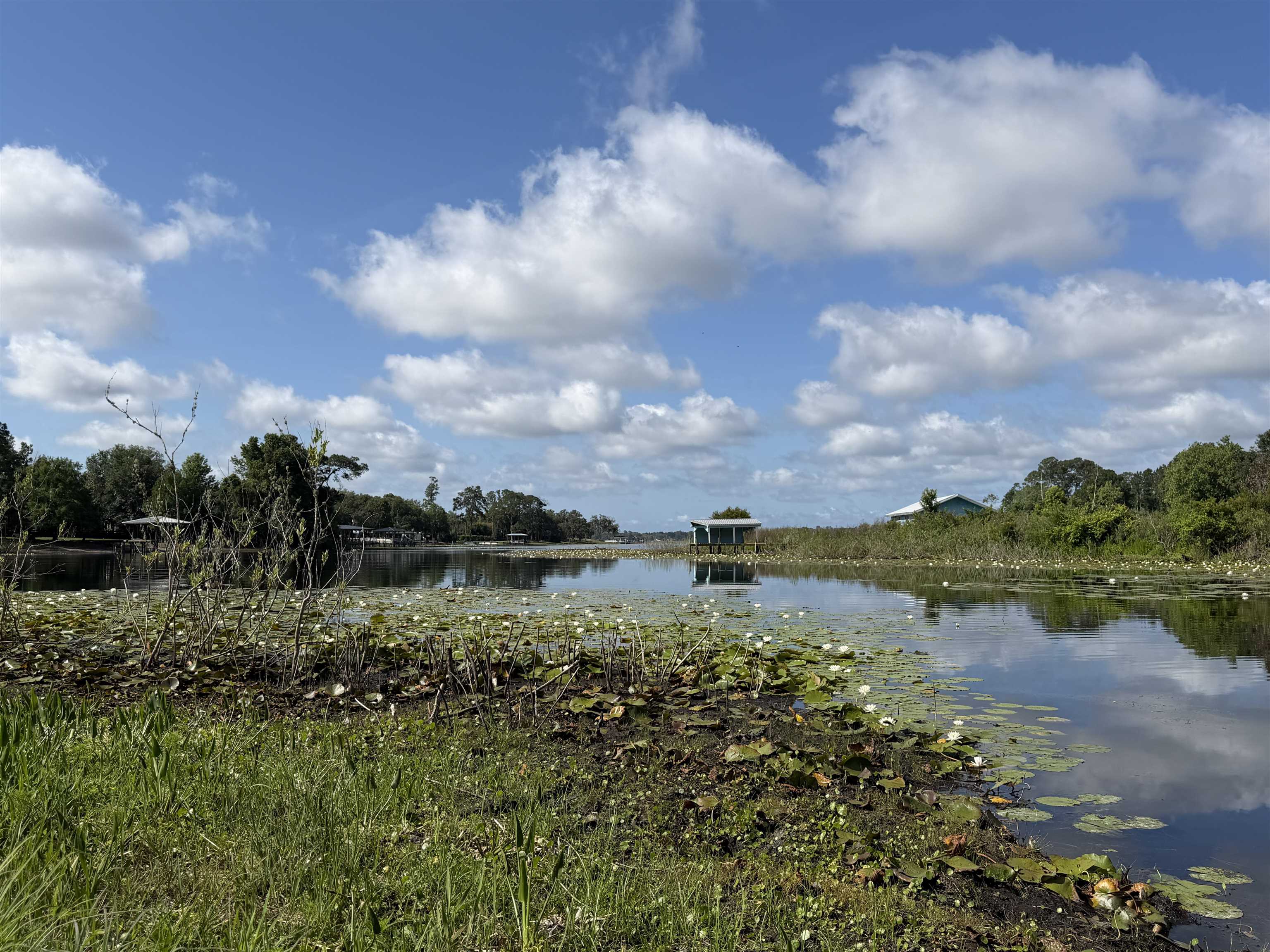 323 Sisco Road Pomona Park, FL 32181 - Photo 8 of 31 a view of lake with green space