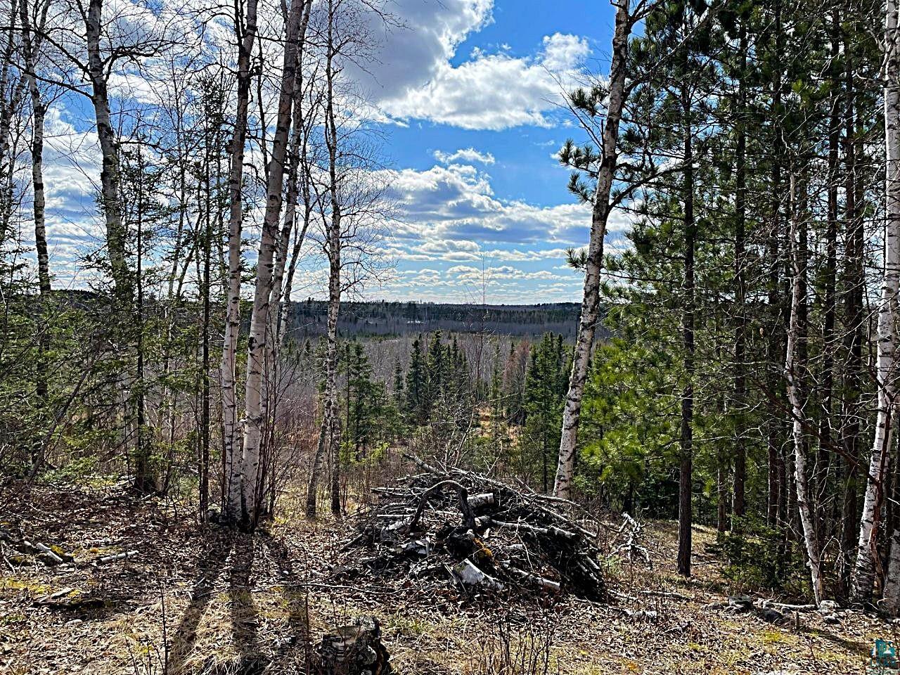 1480 Maijala Road Ely, MN 55731 - Photo 3 of 58 Wooded acreage with panoramic views & mature tree coverage.