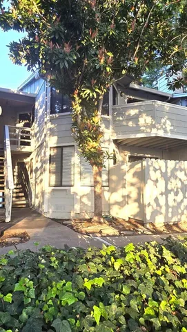 a view of a yard with plants and large trees