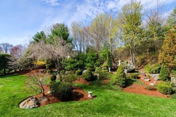 23 Solomon Pierce Road Lexington, MA 02420 - Photo 24 of 26 a view of a garden with large trees