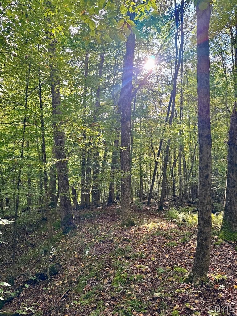 East Road Angelica, NY 14709 - Photo 11 of 23 Gallery Image 11