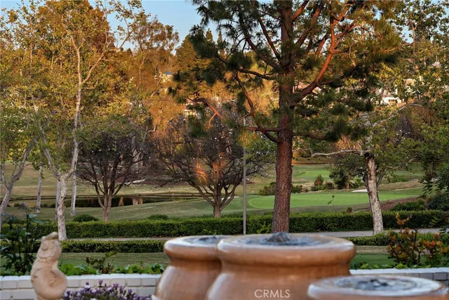 a view of a street with large trees