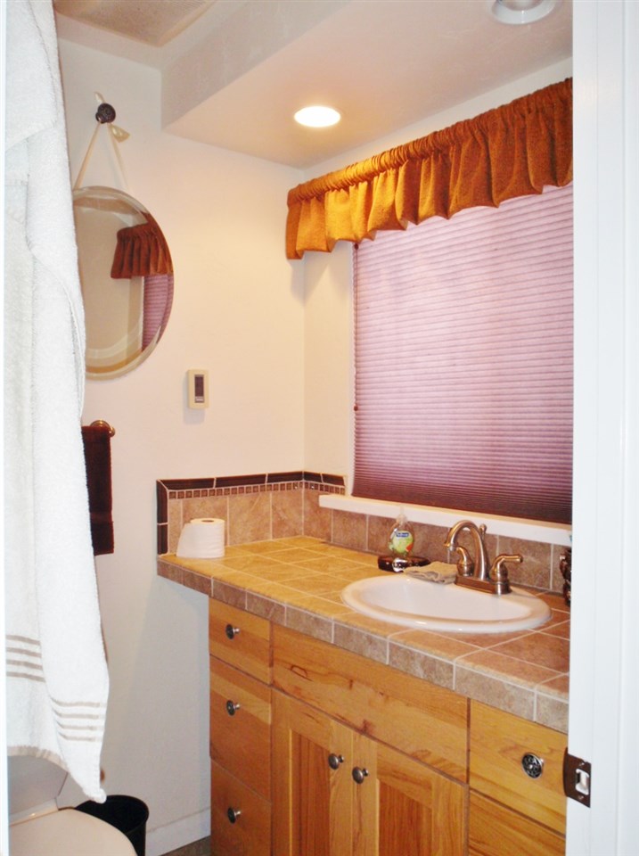 1608 12 Road Loma, CO 81524 - Photo 10 of 22 a bathroom with a sink and a mirror