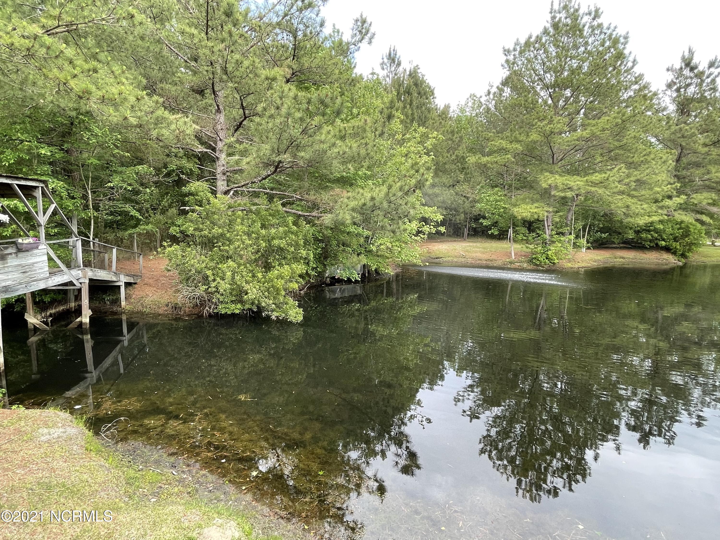 375 Shoo Fly Road New Bern, NC 28560 - Photo 65 of 77 Pond