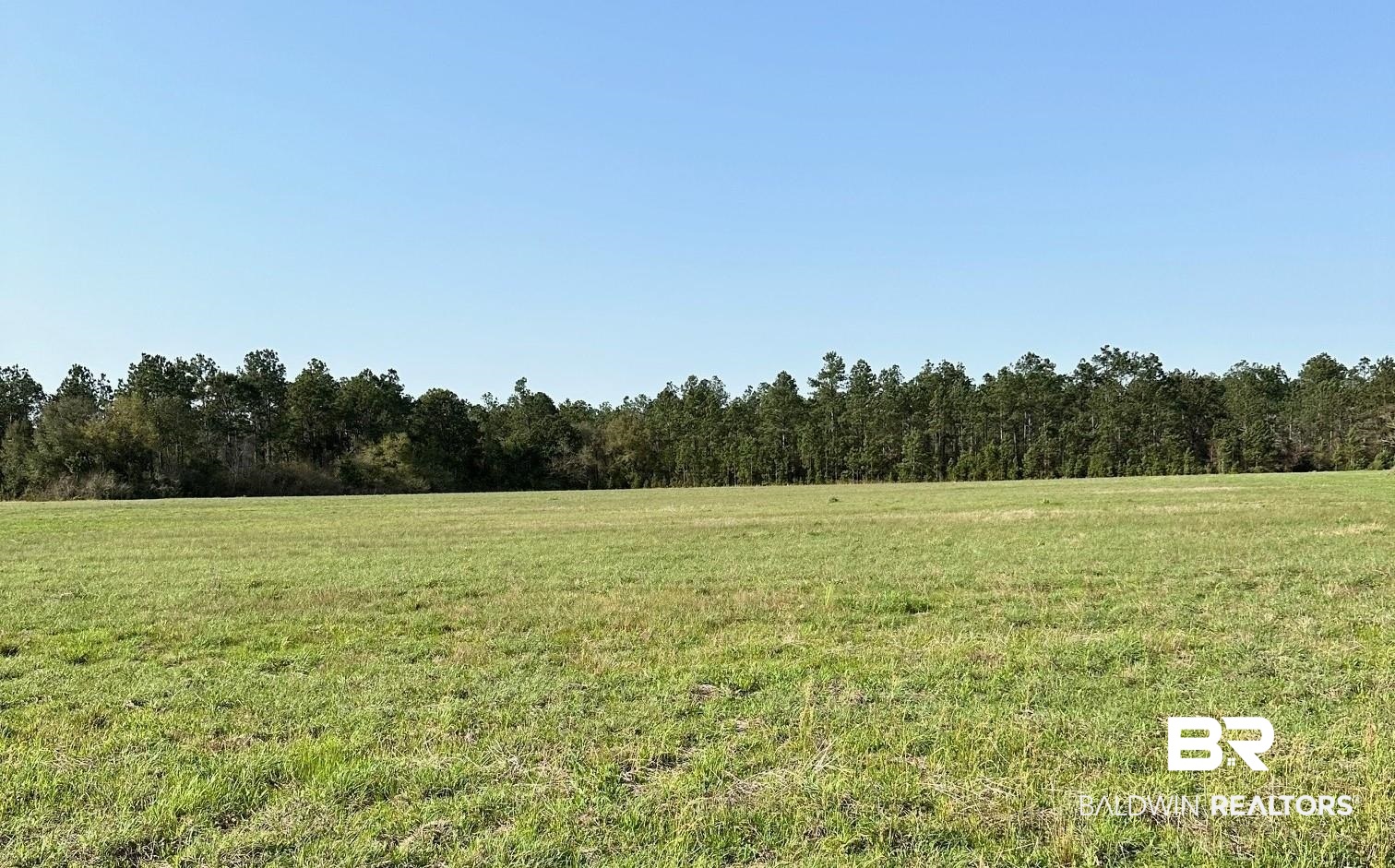 27815 Woerner Road Elberta, AL 36530 - Photo 1 of 2 View of landscape featuring a rural view and a view of trees