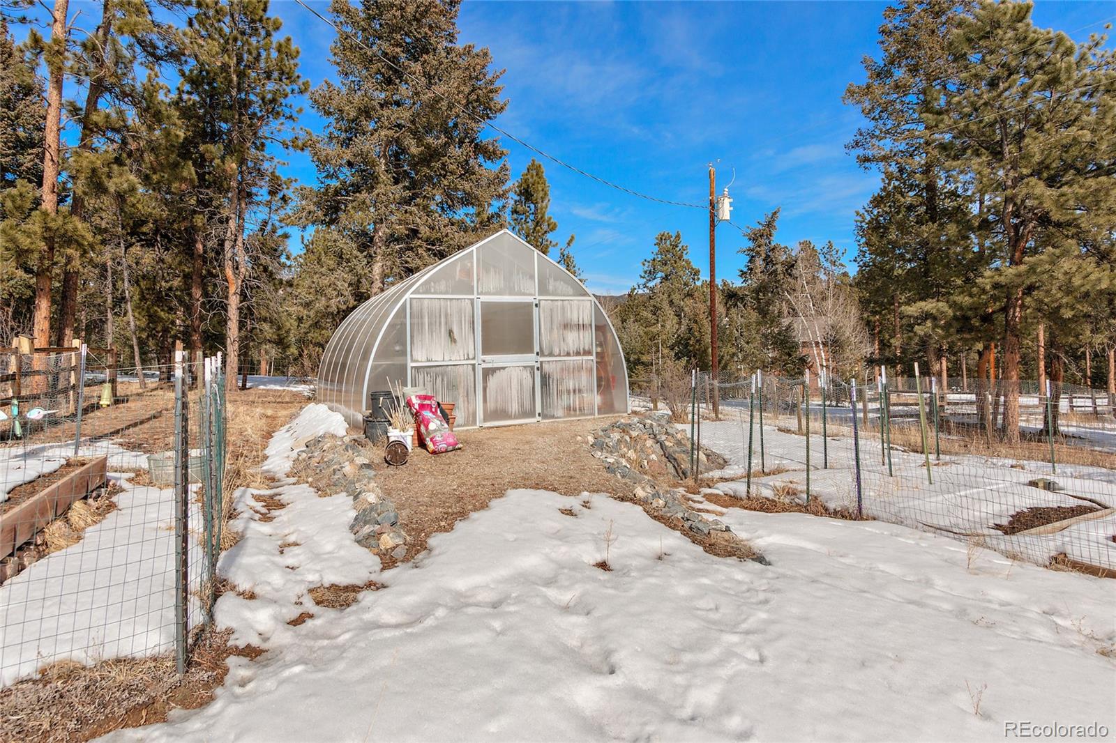 540 Dawson Road Pine, CO 80470 - Photo 13 of 35 Gallery Image 13