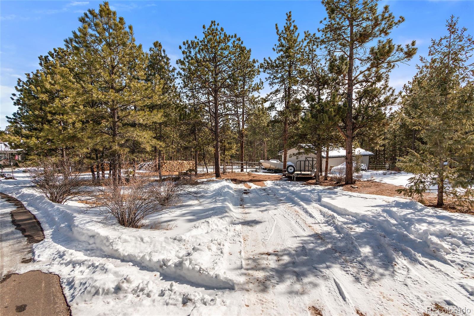 540 Dawson Road Pine, CO 80470 - Photo 14 of 35 Gallery Image 14