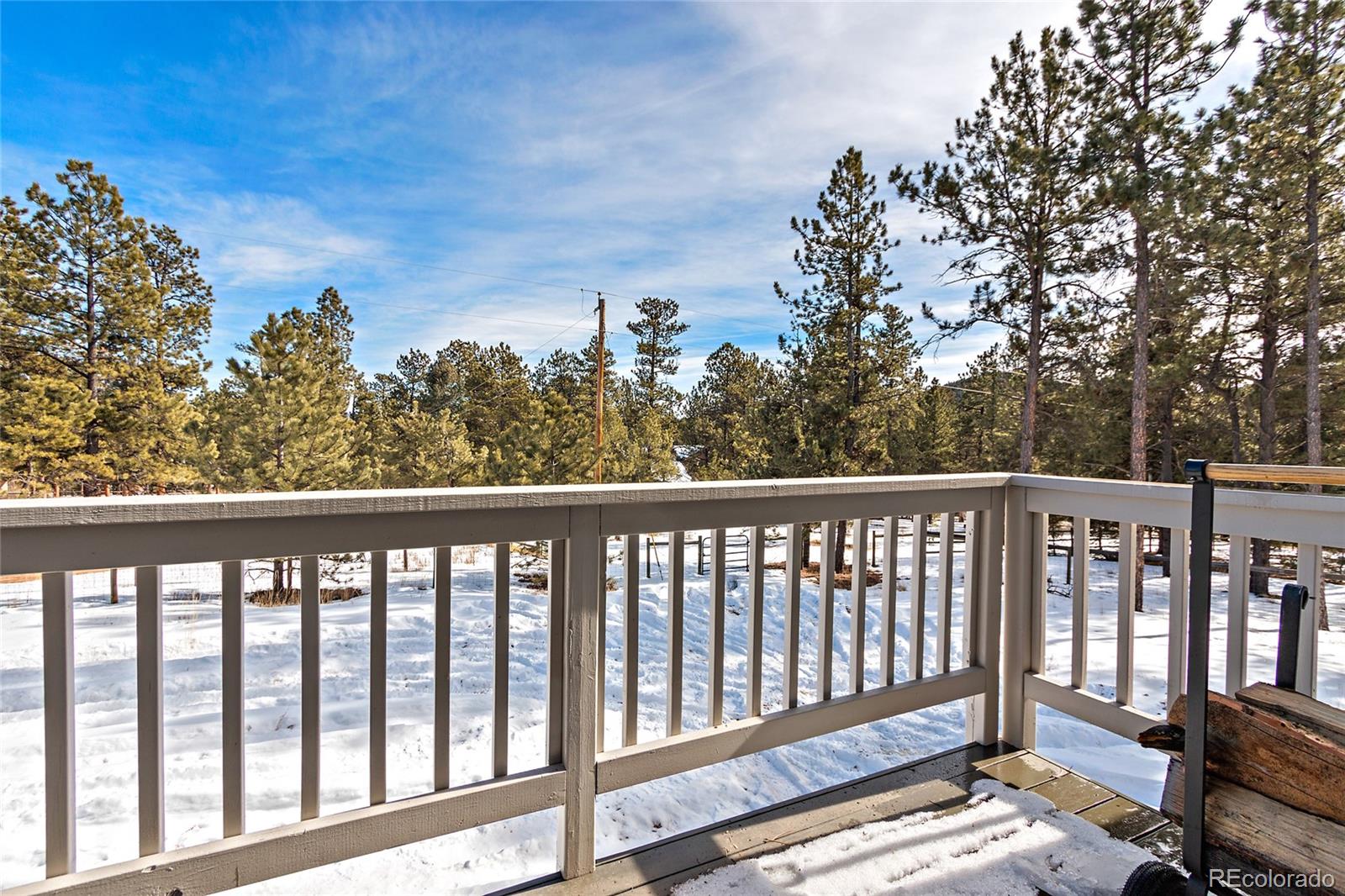 540 Dawson Road Pine, CO 80470 - Photo 8 of 35 Gallery Image 8