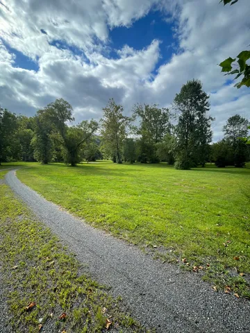 a view of a field with an ocean