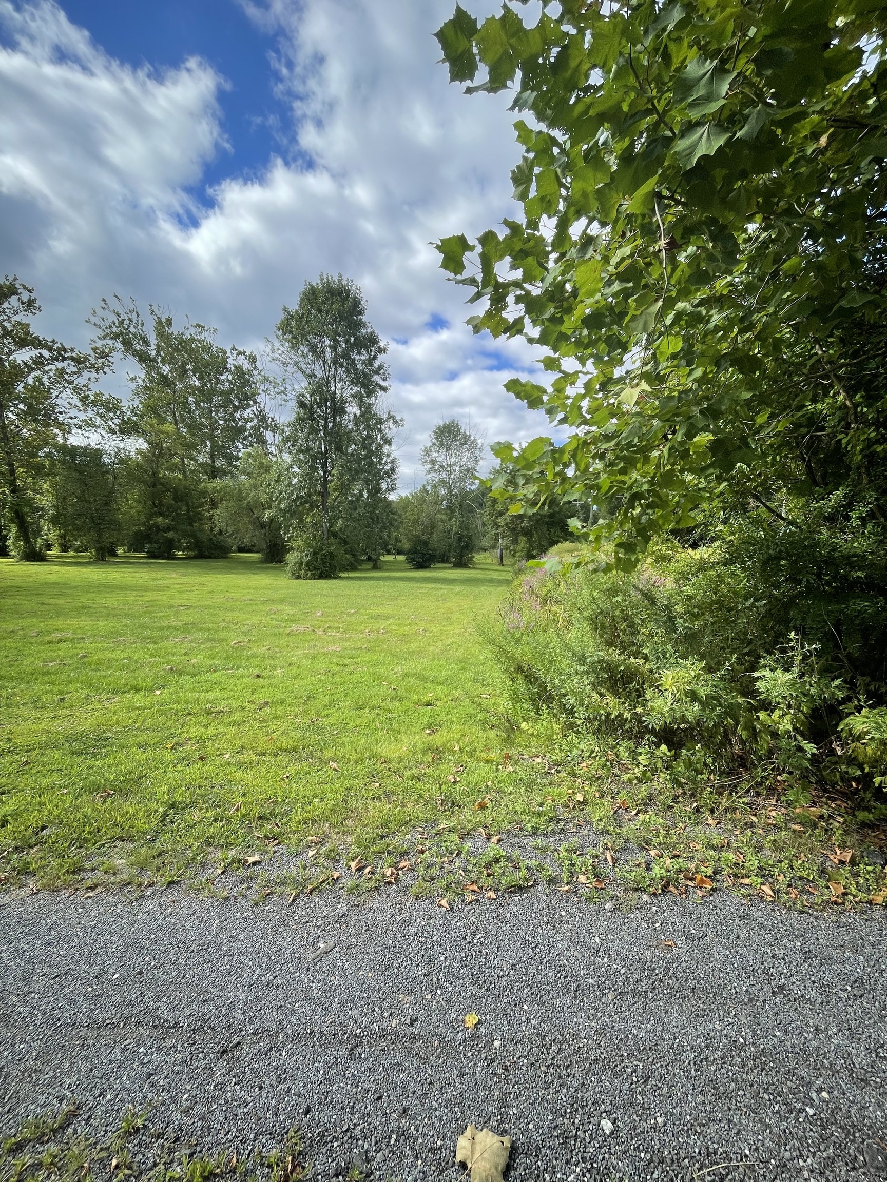Ridge Road New Milford, CT 06776 - Photo 4 of 6 a view of a field with an trees