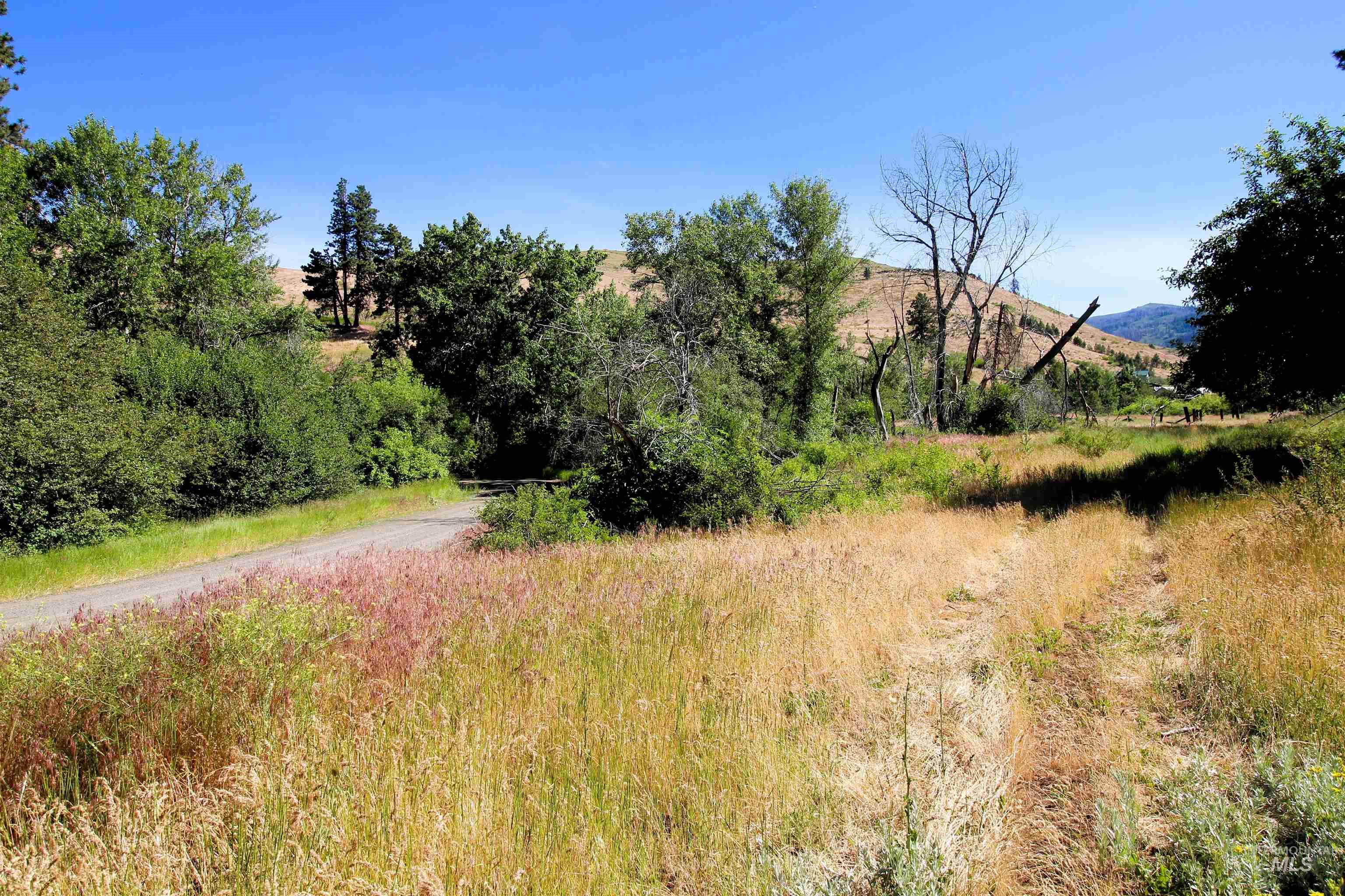 Tbd Advent Gulch Road Cambridge, ID 83610 - Photo 20 of 30