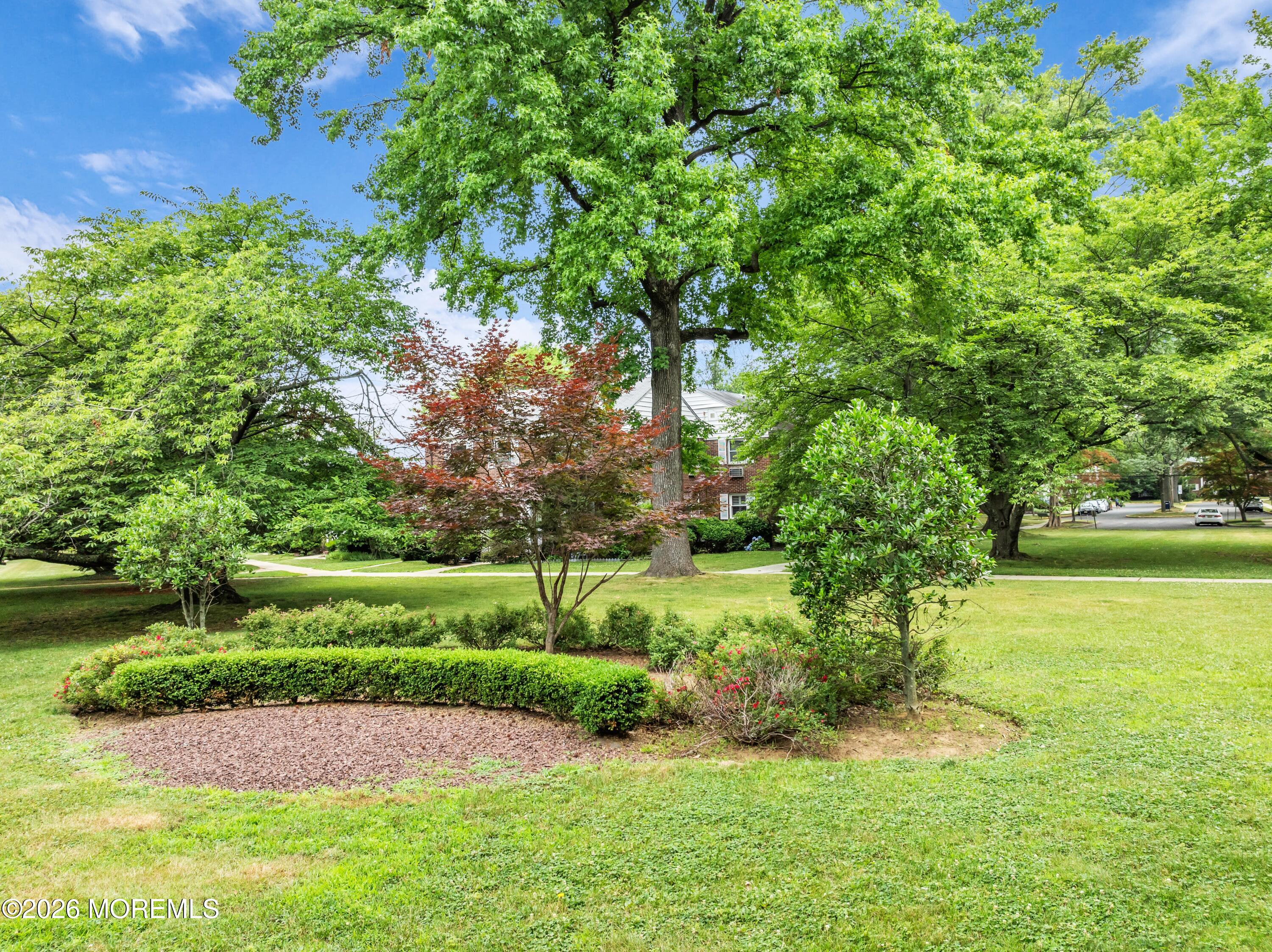 85 Manor Drive Red Bank, NJ 07701 - Photo 6 of 31 Common Grounds