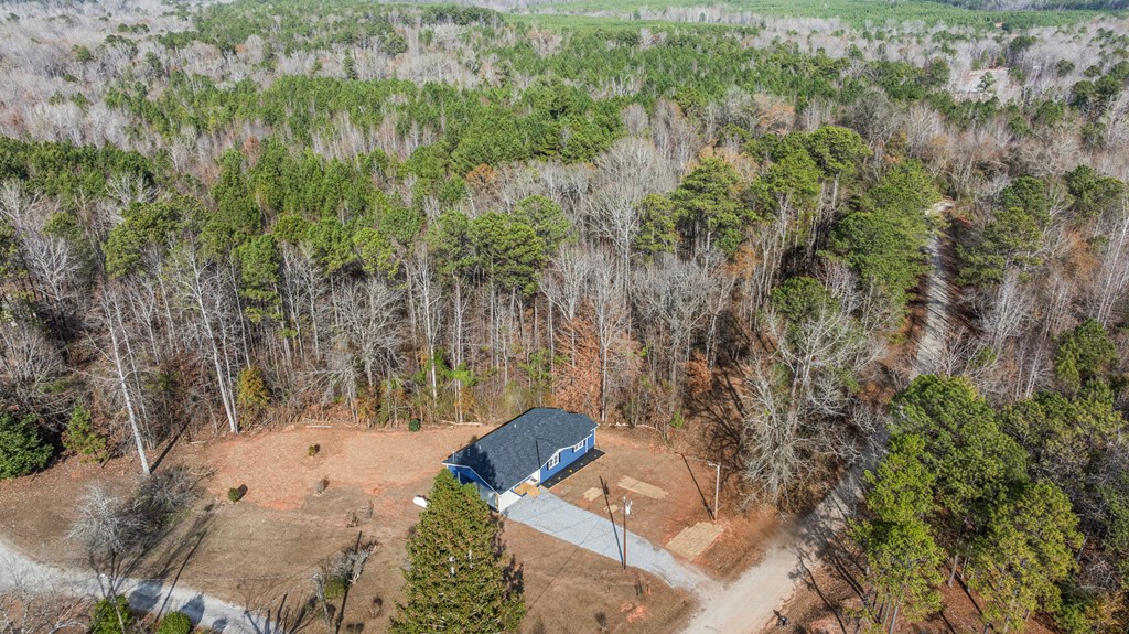 395 Walker Road Cataula, GA 31804 - Photo 2 of 28