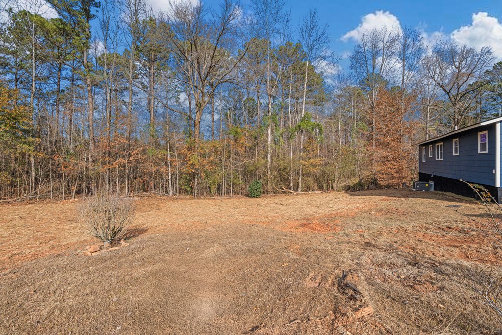 395 Walker Road Cataula, GA 31804 - Photo 28 of 28