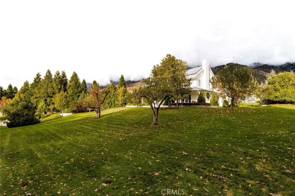 39287 Pine Street Yucaipa, CA 92399 - Photo 44 of 67