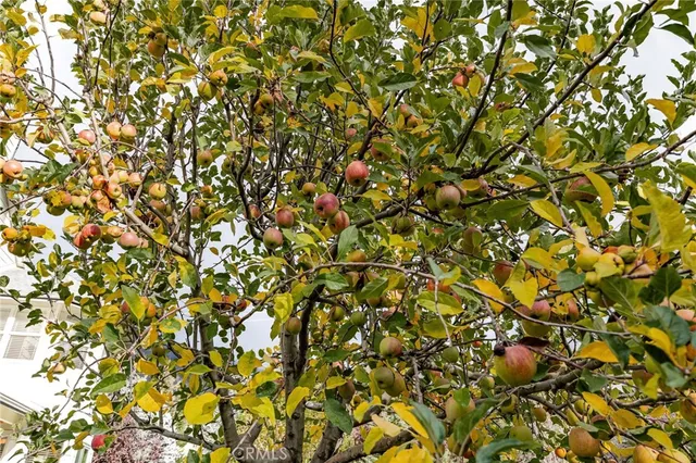 a view of a cars park in front of house
