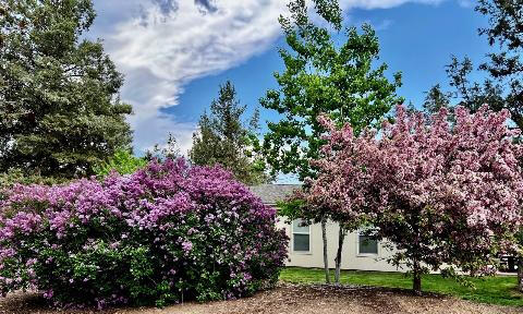 65190 Gerking Market Road Bend, OR 97703 - Photo 66 of 74 65