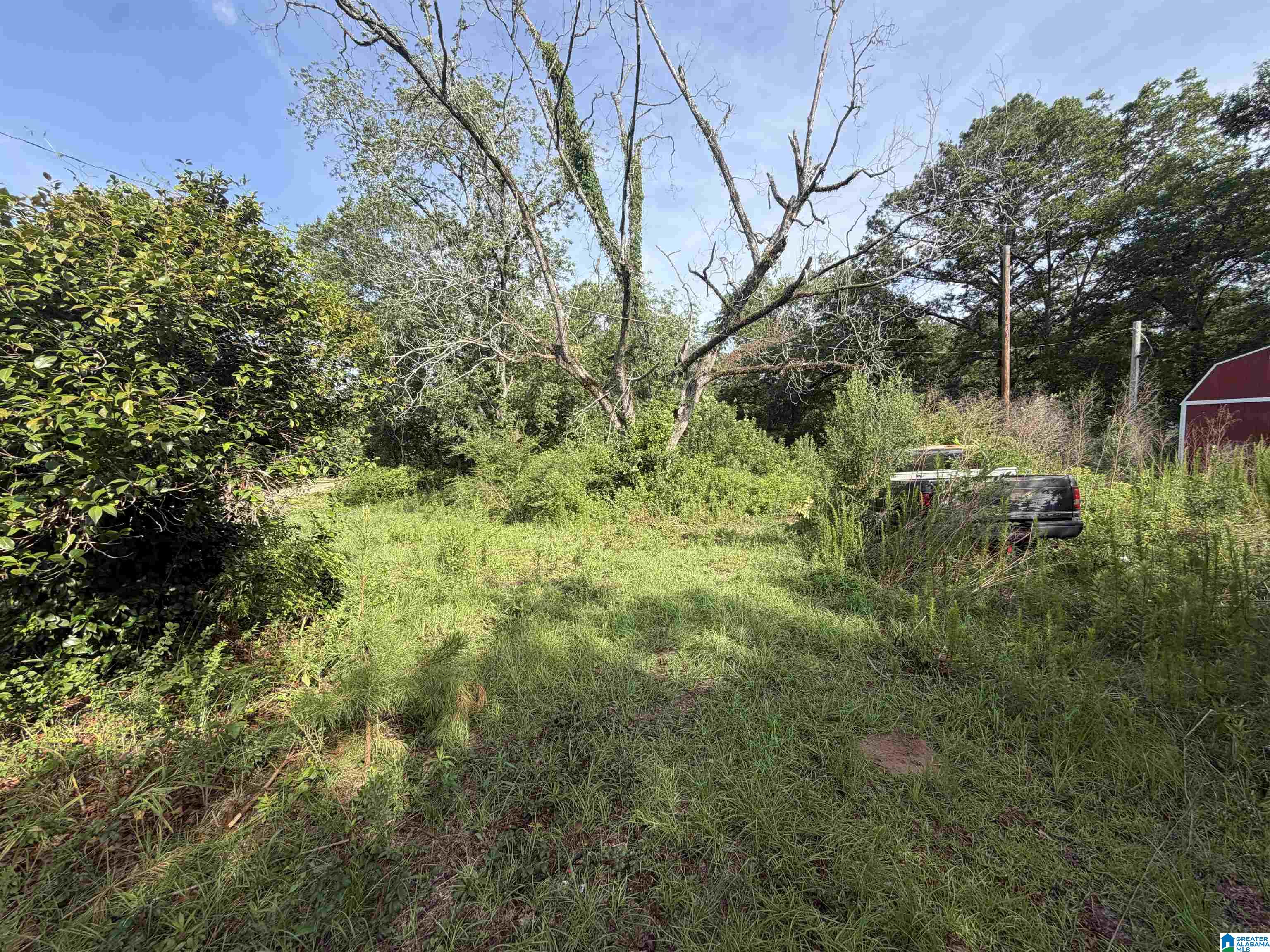 6355 Grange Forge Road, Unit 1 Red Level, AL 36474 - Photo 2 of 5