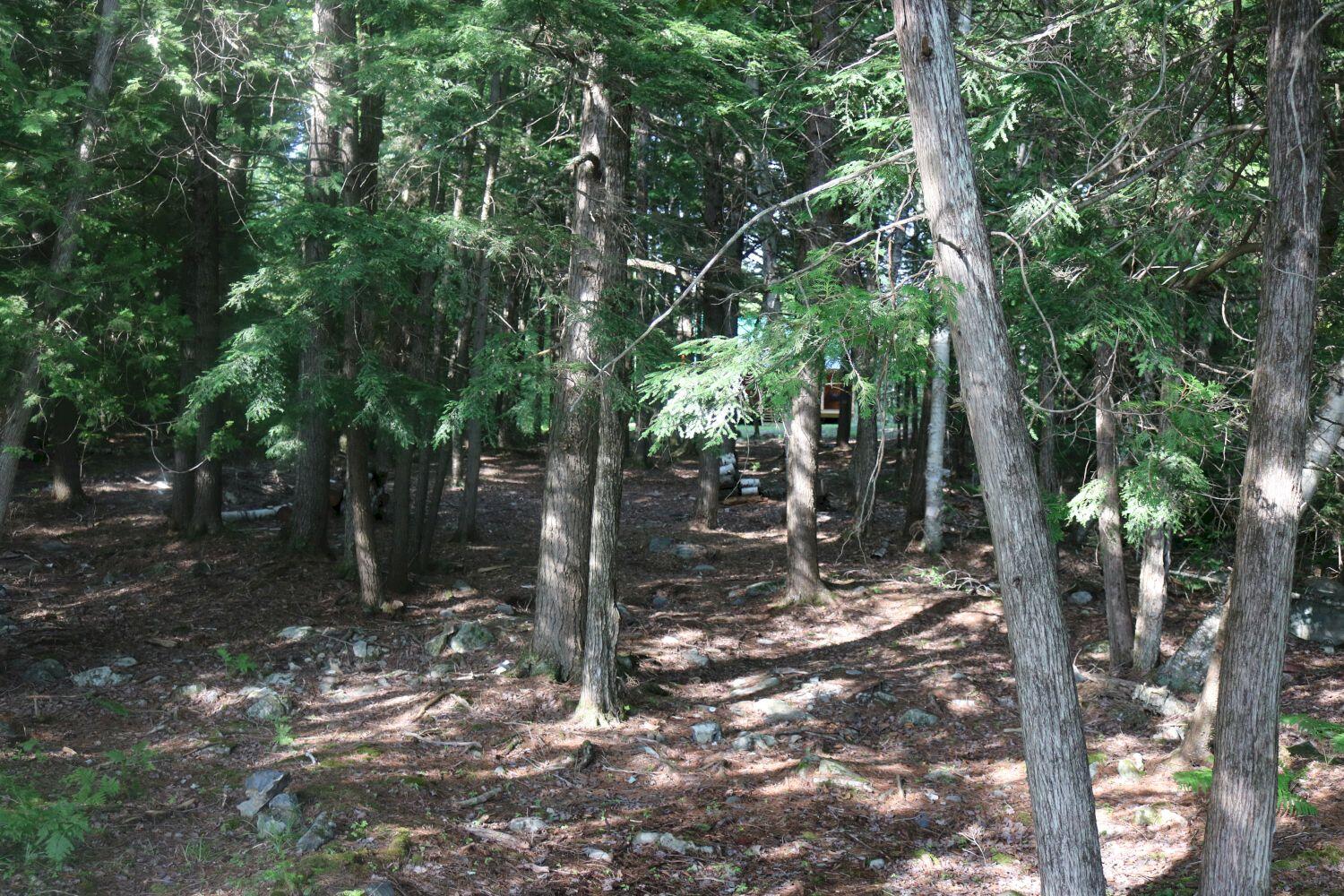 768 Fahi Pond Road Embden, ME 04958 - Photo 45 of 57 IMG_9184