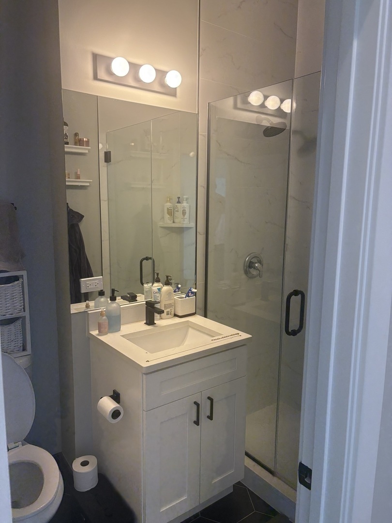 1456 West Addison Street, Unit 3 Chicago, IL 60613 - Photo 10 of 19