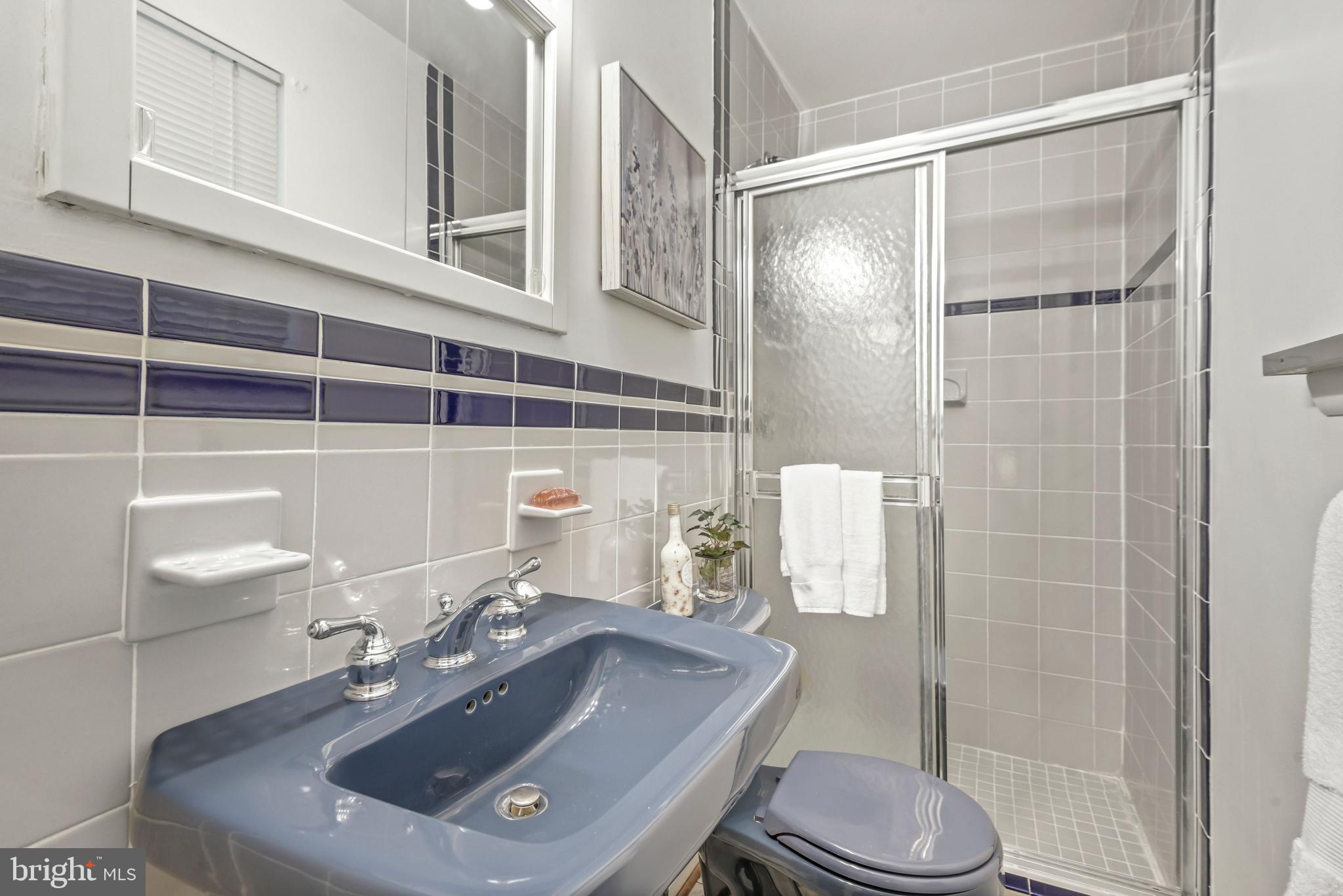 10015 Menlo Avenue Silver Spring, MD 20910 - Photo 19 of 29 Primary full bathroom