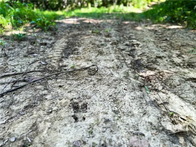 $1,395,000 | 1150 Southwest 700th Road, Holden, MO 64040