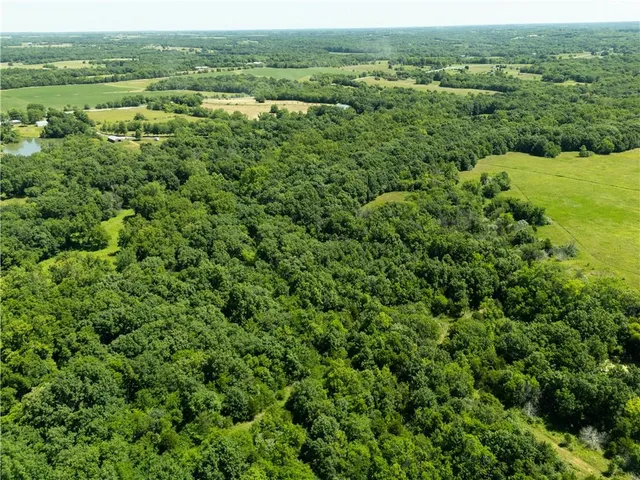 $1,395,000 | 1150 Southwest 700th Road, Holden, MO 64040