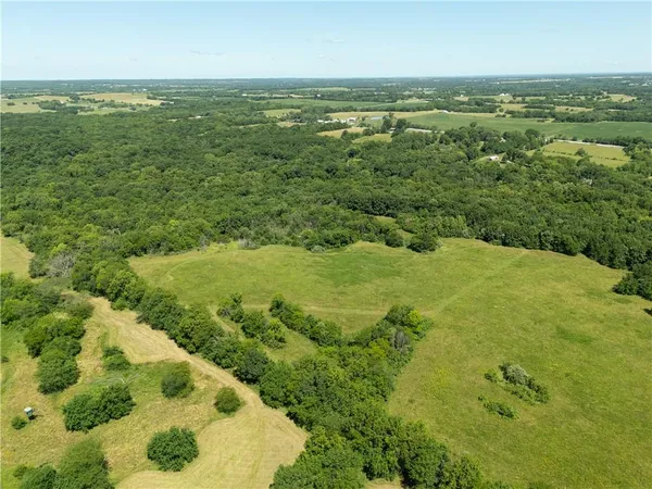 $1,295,000 | 1150 Southwest 700th Road, Holden, MO 64040