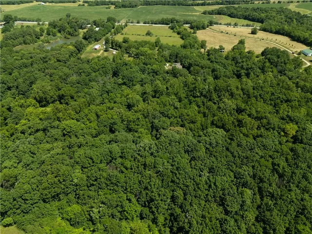 $1,395,000 | 1150 Southwest 700th Road, Holden, MO 64040