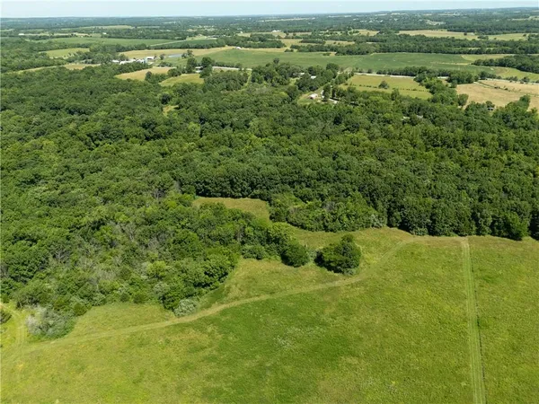$1,295,000 | 1150 Southwest 700th Road, Holden, MO 64040