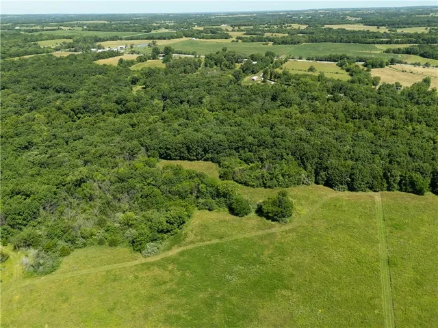 $1,395,000 | 1150 Southwest 700th Road, Holden, MO 64040