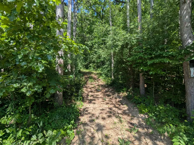 $62,900 | V/l North Avenue, Bellevue, MI 49021