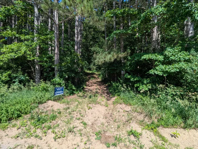 $62,900 | V/l North Avenue, Bellevue, MI 49021