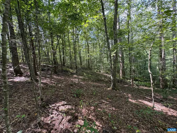$430,000 | 23-5a Mitchell Mountain Road, Unit 5A, Reva, VA 22735