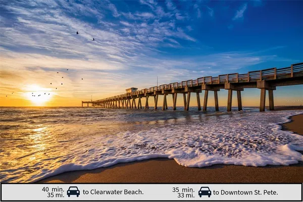 $3,200 | 1105 Lady Gouldian Court, Tampa, FL 33613