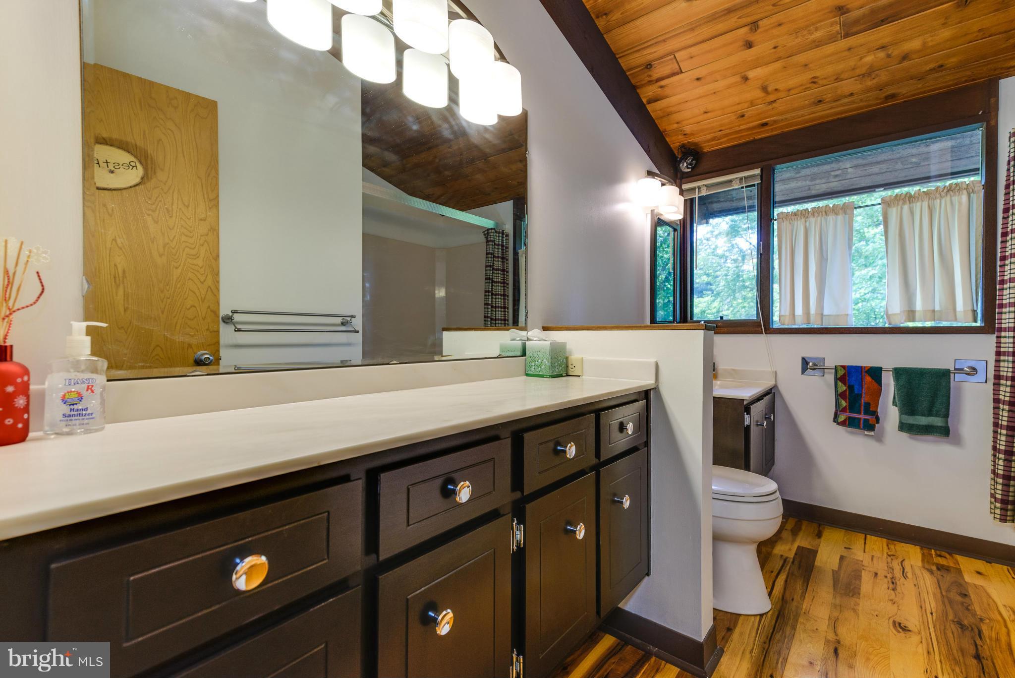 24131 Old Hundred Road Dickerson, MD 20842 - Photo 18 of 30 Bath (Master)