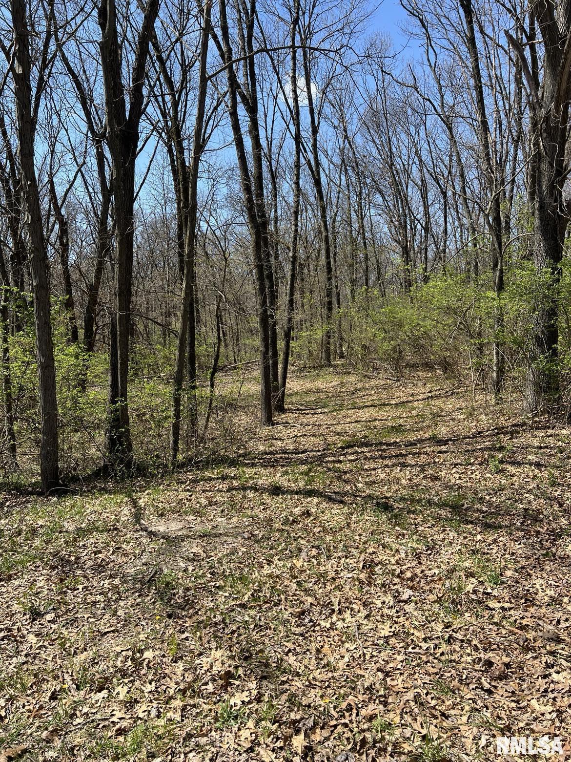 5 Flax Road Macomb, IL 61455 - Photo 2 of 2