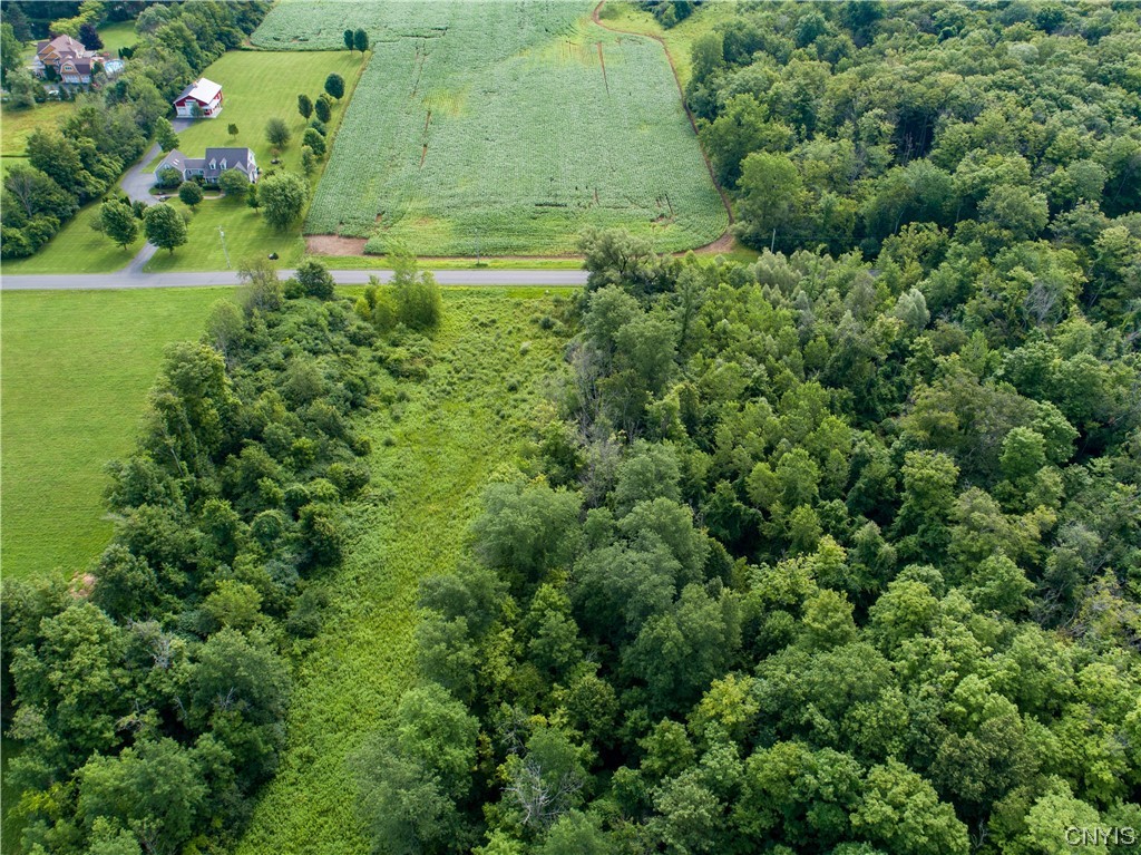 Lot #17 County Line Road, Unit 17 Phoenix, NY 13135 - Photo 4 of 14