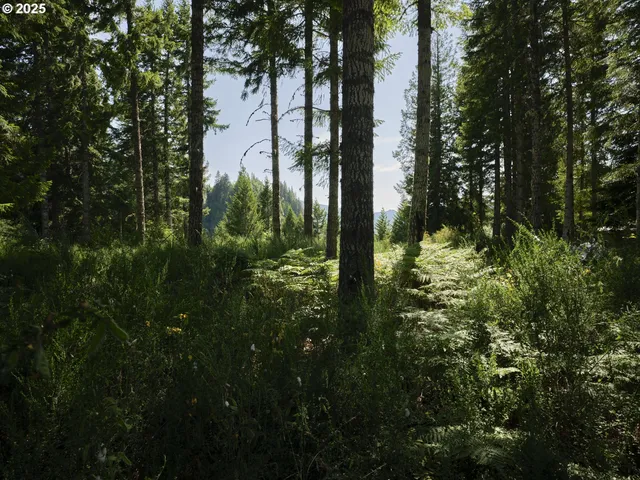 $175,000 | 3 Phyllis Ann Block Court, Cougar, WA 98616