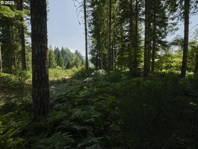 $175,000 | 3 Phyllis Ann Block Court, Cougar, WA 98616