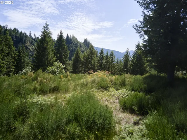 $175,000 | 3 Phyllis Ann Block Court, Cougar, WA 98616